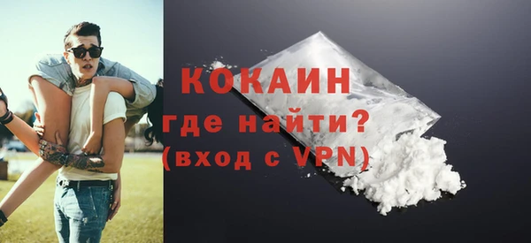 шишки Верея