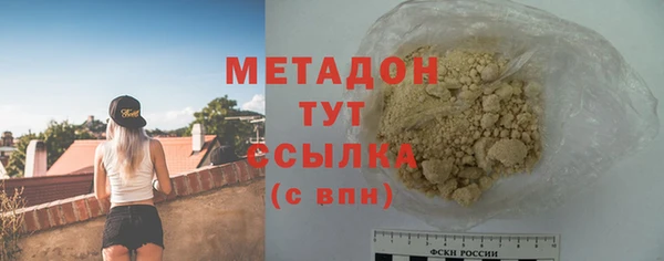шишки Верея