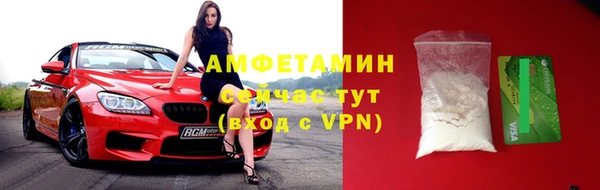 шишки Верея