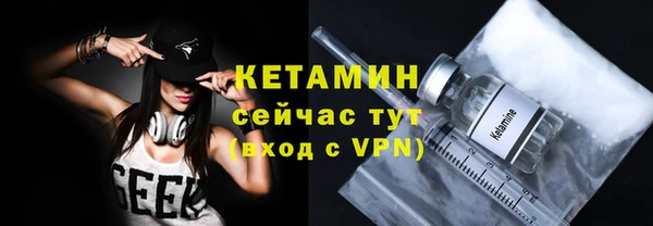 шишки Верея