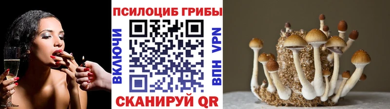 Галлюциногенные грибы GOLDEN TEACHER  Купить закладки  Костерёво 